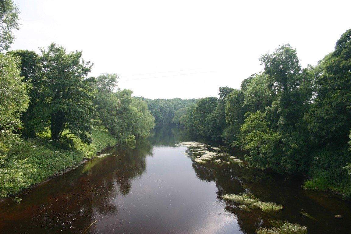 View From Bridge Over River Tees At Low Dinsdale